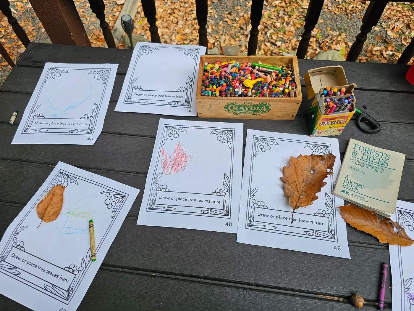Leaf identification worksheets, crayons, pressed leaves and a field guide on a table