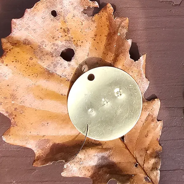 A brass tag resting on a dry oak leaf