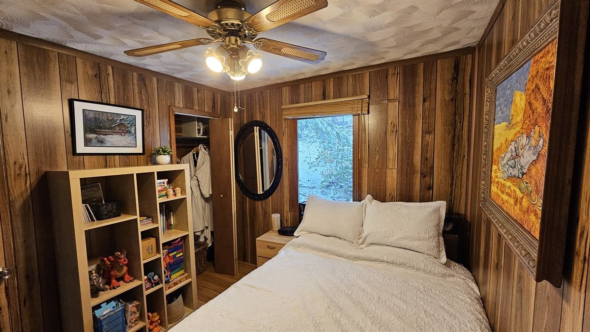 Cabin and surrounding property