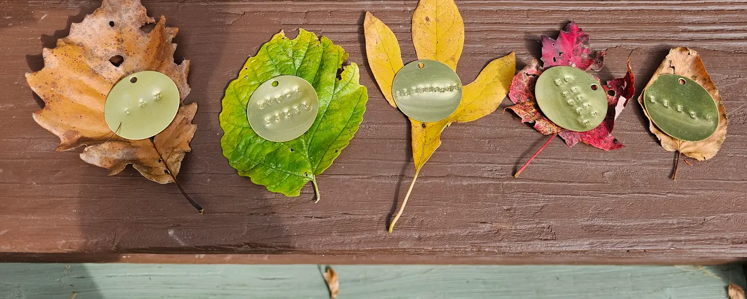 A row of leaves, each paired with its hand-stamped brass tag, laid along a deck rail
